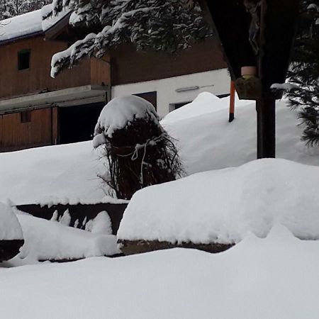 Appartement Wildkogelblick Neukirchen am Großvenediger Buitenkant foto