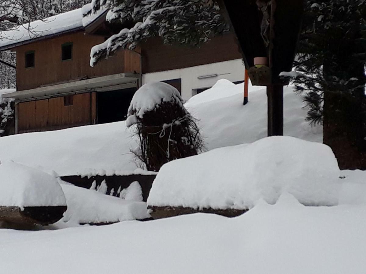 Appartement Wildkogelblick Neukirchen am Großvenediger Buitenkant foto