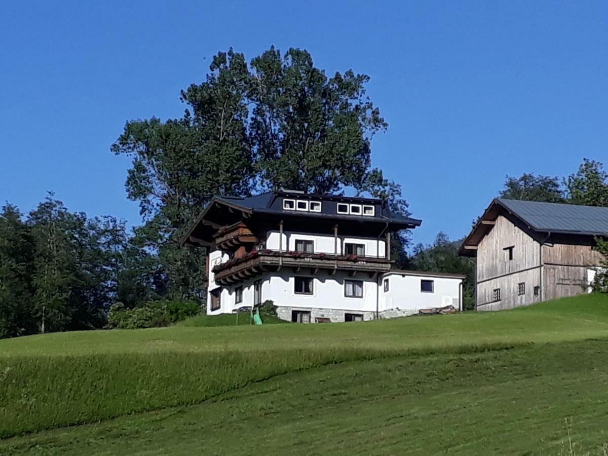 Appartement Wildkogelblick Neukirchen am Großvenediger Buitenkant foto
